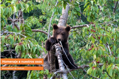 Manualidad para los pequeños de la casa. ¿Recordáis al oso Goluso?