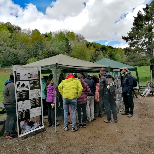 JORNADAS ORNITOLÓGICAS MAYO 2024
